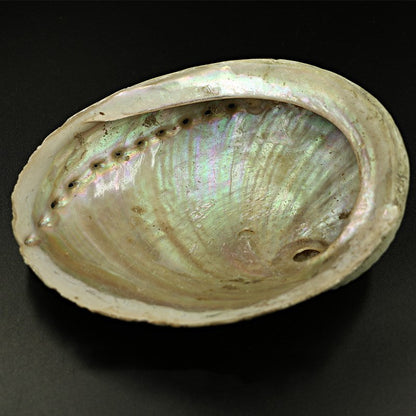 SacredAura Abalone Shell & Holy Wood Stand – Luxury White Sage Smudging Bowl for Home Spiritual Decoration & Gifts