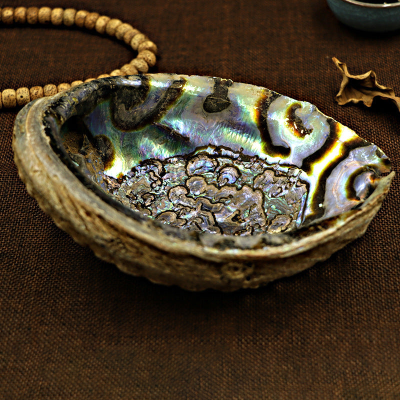 SacredAura Abalone Shell & Holy Wood Stand – Luxury White Sage Smudging Bowl for Home Spiritual Decoration & Gifts