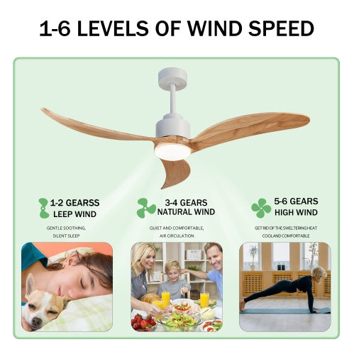 BreezeHome 52" Ceiling Fan with Dimmable LED Light & Remote Control