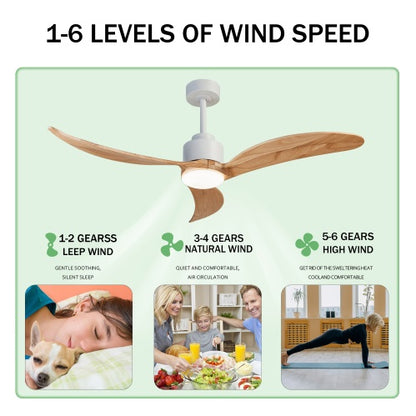 BreezeHome 52" Ceiling Fan with Dimmable LED Light & Remote Control