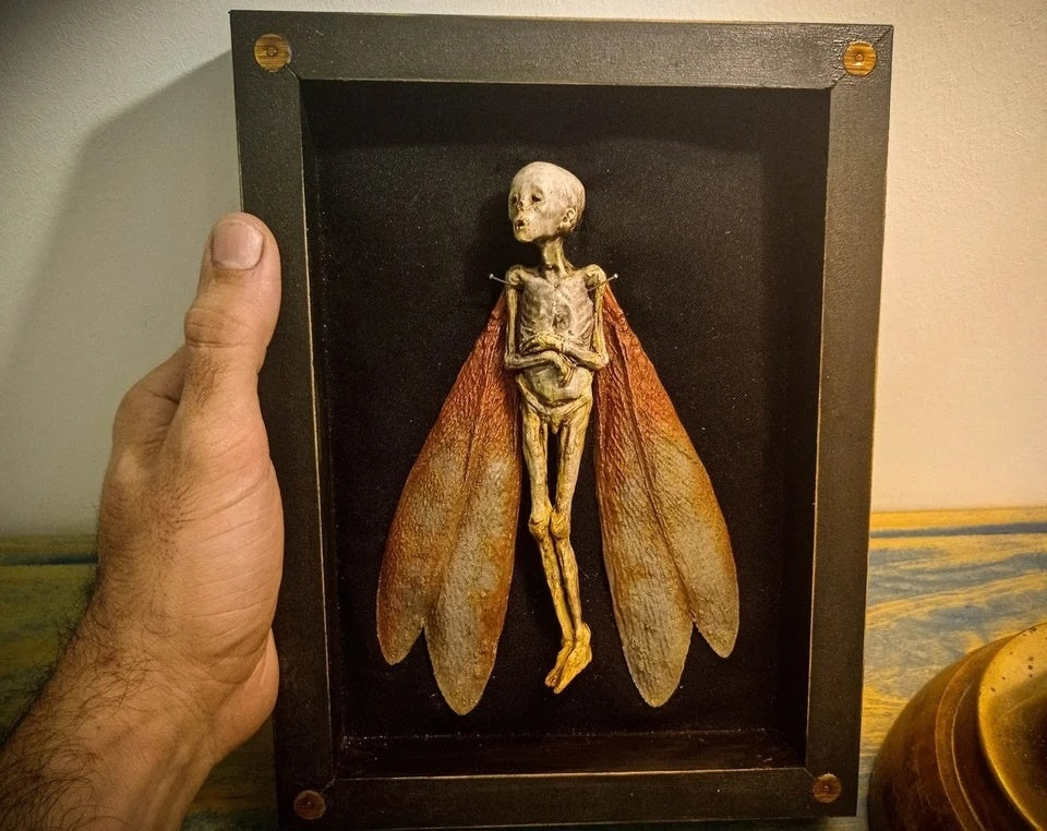 Cursed Dead Fairy Shadow Box – Handmade Wooden Halloween Decoration, 25x19cm Spooky Scene Ornament