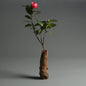 Flower Arrangement With Dead Wood Landscape Ornaments – Solid Wood Small Vase