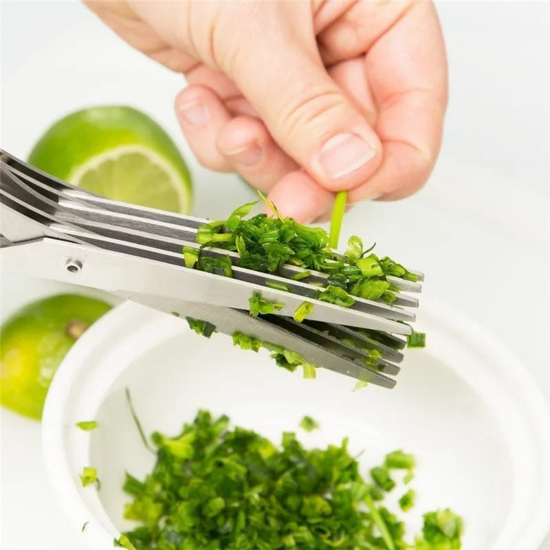 HerbiCut Multi-Layer Stainless Steel Kitchen Scissors – Quick Cutting Tool for Herbs, Onions, Seaweed & Spices