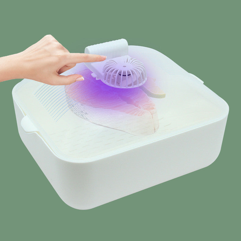 FrostEase Multi-Function Rapid Defroster – Post-Modern PP Plate for Efficient Thawing