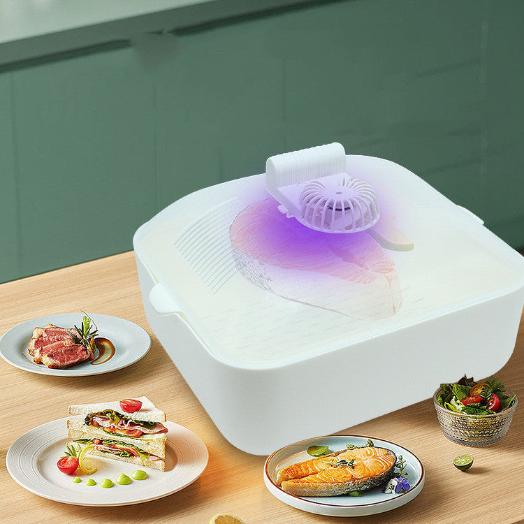FrostEase Multi-Function Rapid Defroster – Post-Modern PP Plate for Efficient Thawing