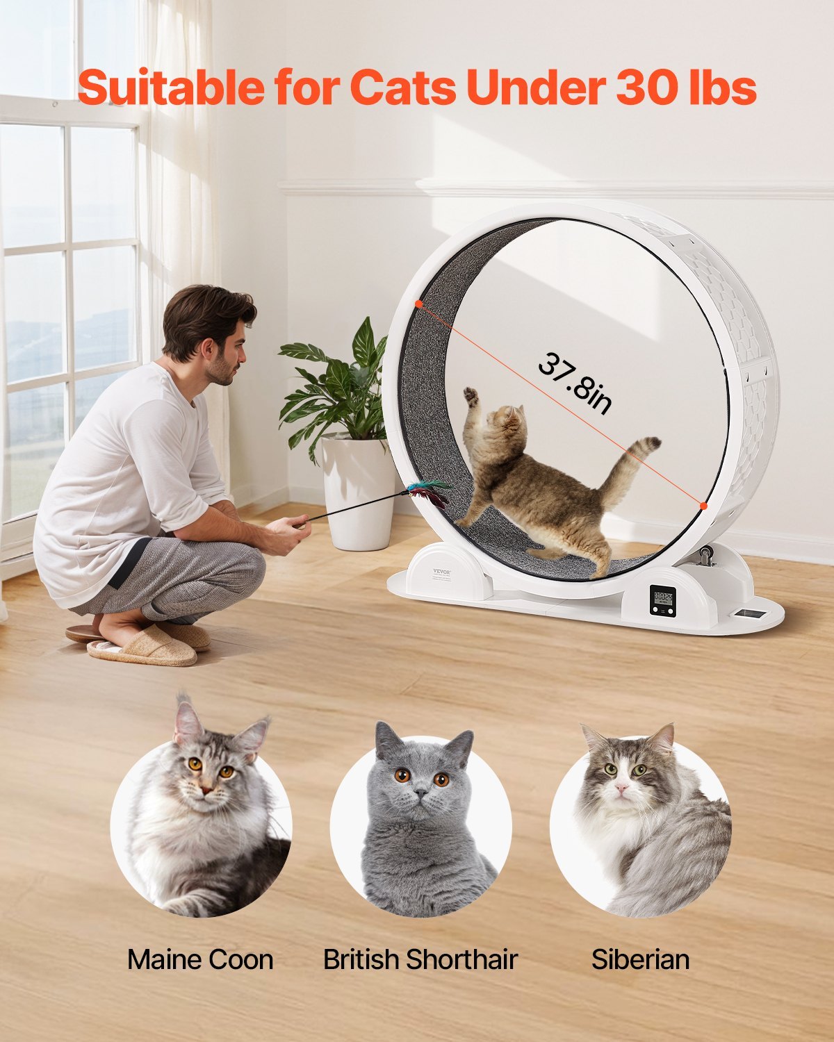 PawBalance VEVOR RK38 Cat Exercise Wheel with Pedometer 40.8 White Solar-Powered Cat Treadmill for Pet Health & Fitness
