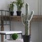 Verdantia Mini Faux Potted Boxwood Topiaries – Set of 3 Decorative Indoor Green Plants