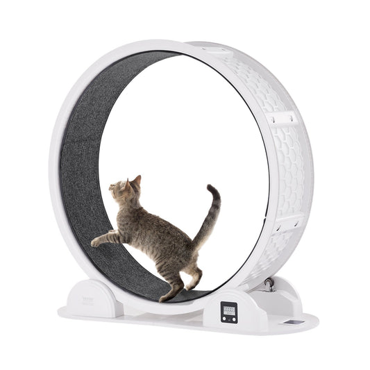 PawBalance VEVOR RK38 Cat Exercise Wheel with Pedometer 40.8 White Solar-Powered Cat Treadmill for Pet Health & Fitness